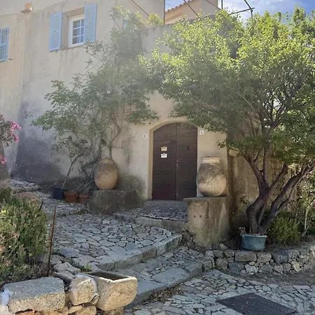 Belle Maison De Village A * Pigna